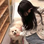 千铳士游戏下载